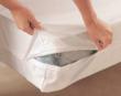 Prepare for Fall Allergy Season and Prevent Collection of Bedroom...